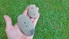 Rock Collection   Gorget Pair   Pendant   Stone Tools  Arrowheads   Gem  