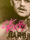Lil    Peep 2016 Signed Framed Reprint Photo And Laminate Tour Pass 2015 Rapper