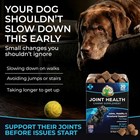 Dog Joint Health Chews Glucosamine Chondroitin Msm 30 Count