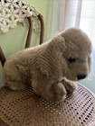 Vintage 1986 Applause Plush Realistic Cocker Spaniel Puppy Dog Italy Avanti 16   