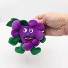 Toy Box Creations Fruit Seedies Golly Grape Purple Plush Stuffed Pal Vintage    98