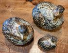 Set Of 3 Vintage 1960s Brown Ceramic Quails Omc Otagiri Japan Wildlife