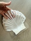 Seashell Hangover Kit  bag Only  Bachelorette   Beach Wedding - 30 Bags
