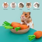 6pcs Hamster Chew   Decor Toys - For Syrian Dwarf Hamsters Gerbils Mice - Carrot