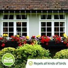 De-bird Scare Rods  Woodpecker Deterrent  Easy-install Bird Deterrent - 12-pk