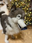 Final Price Hansa Jumbo 43    Long Husky Wolf Rare