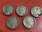 Buffalo Nickels