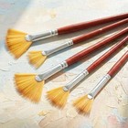 Fan Paint Brush Set  6 Pcs Nylon Hair Acrylic Paint Brushes Artist Brush With