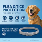 Flea   Tick Collar For Dogs Over 18 Lbs  Treatment   Prevention  Vet-recommend 