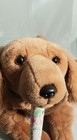 Animal Alley Toys R Us Golden Retriever Plush Dog 24  Stuffed Animal - Excellent