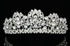 Gorgeous Floral Rhinestone Crystal Prom Bridal Wedding Tiara 7814