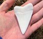 5 Pack 3  Great White Shark Teeth Replicas Unfinished Pendants  Beads  Stem