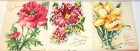 Vintage Pretty Petals  Octavia Walton Unused Greeting Cards Roses Flowers 8ct