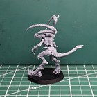 Space Bug Lictor