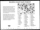 10 Pacific Coast Rain Forest Stamps Olympic National Park  Peninsula  Washington