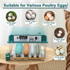 Incubadora De Huevos Automatica Para Huevos De Pato Gallina Codorniz 16 Huevos