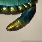 Vtg Turtle Art Metal  Glass Wall Decor Pre Own Very Nice Condition See Photos