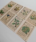 Vintage Soviet Matchbox Labels  Series  medicinal Plants  1976 Ussr 