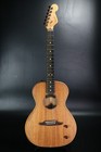 Fender Mexico   Highway Series Parlor Rosewood All-mahogany S n