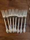 Royal Rose By Wallace Sterling Silver Flatware Set  7 Service 37 Pieces