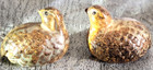 Vintage Ceramic Quail Grouse Partridge Birds Figurines 2    Japan Set Of 2