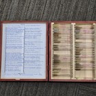 Vintage Pathology Microscope Slides Skin Genodermatoses Pemphigus Box Index