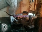 Dino Dream Tyrannosaurus Rex   Velociraptor Dinosaur Statue Model Display