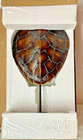 Lrg Restoration Hardware Faux Tortoise Turtle Shell Mounted Hand Finished Resin