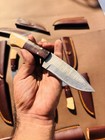 Lot Of 25 Handmade Damascus Steel Hunting Skinner Knife 8 Inches Custom W Bone