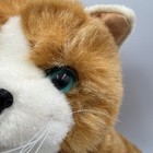 Dan Dee Realistic Plush Cat With Whiskers Green Eyes