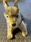 Hansa Wolf Cub Plush Sitting Portraits In Nature