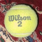 2024 Roland Garros Final Match Used Tennis Ball Alcaraz Vs Sinner Grand Slam