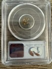 Ss Central America Shipwreck  5 Grams Of Gold Nuggets Ca 