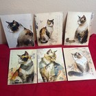 19pc Japanese Style Watercolor Cat Art Postcards Set Cc-2028 Calico Tabby Art
