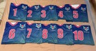Set Of 10 Volleyball   Sporting Team Playing Shirts   Jerseys - Vixens                 