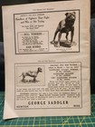 Pit Bull Quarterly Magazine Aug 1995 Vol 6 Issue 4  24 Gamedog American Pit Bull