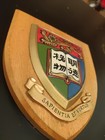 Wooden University Of Hong Kong Plaque Shield Crest