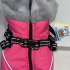 Nwt Small Dog Insulated Zip Up Jacket With Built In Harness Waterproof Warm