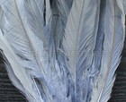 25pcs 10-12  Long Silver Gray grey Dyed Rooster Coque Tail Feathers For Crafting