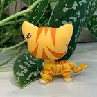 Littlest Pet Shop Lps Rare Shorthair Cat Tiger Print