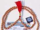 7 Mukhi Seven Face Nepal Origin Rudraksha Size-22-23 Mm 5 Mukhi Mala - Certified