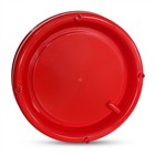 Little Family Members Chicken Waterer 1 5-gallon Metal Handle Poultry Drinker