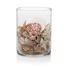 8 h Wide Cylinder Floral Vase Clear Glass Elegant Design Decorative Home