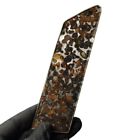 52g Sericho Pallasite Meteorite Slice - From Kenya Qa420