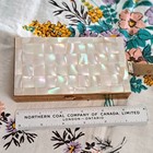Vintage Mother Of Pearl Compact Lipstick Purse Cigarette Case Wristlet 1950 s