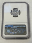 2006 W  10 Burnished Platinum Eagle Ngc Ms 70 