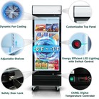 19 3 Cu ft Commercial Freezer Glass Door Merchandiser Reach-in Display Freezer