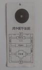 Souvenir Ticket Of The Summer Palace Beijing With Original Dragon 45 Yuan Coin