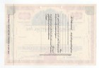 Specimen - Wallace Properties  Inc  Stock Certificate