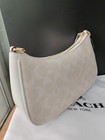 Coach Teri Shoulder Bag In Signature Canvas Ca548 Glacier White Nwt
